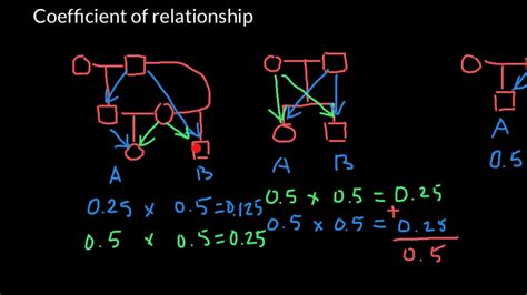 Coefficient of relationship .